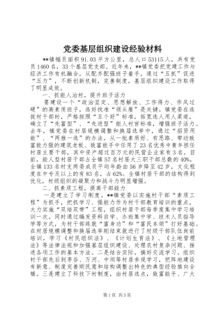 2024年党委基层组织建设经验材料