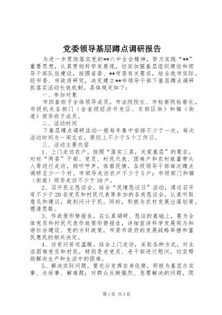 2024年党委领导基层蹲点调研报告