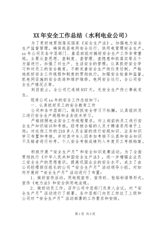2024年安全工作总结（水利电业公司）