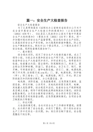 2024年安全生产大检查报告