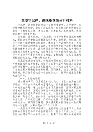 2024年党委守纪律讲规矩党性分析材料