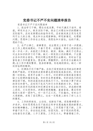 2024年党委书记不严不实问题清单报告