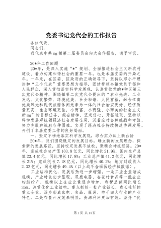 2024年党委书记党代会的工作报告