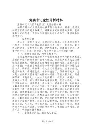 2024年党委书记党性分析材料