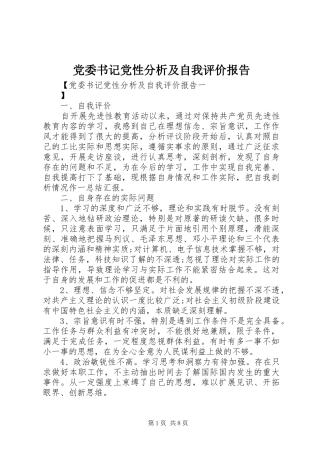 2024年党委书记党性分析及自我评价报告