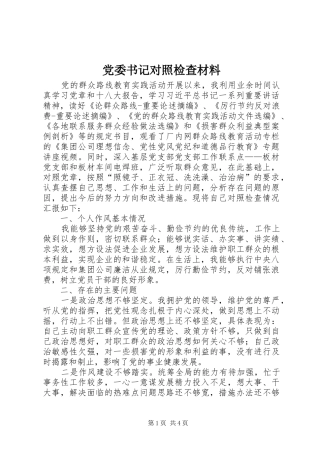 2024年党委书记对照检查材料