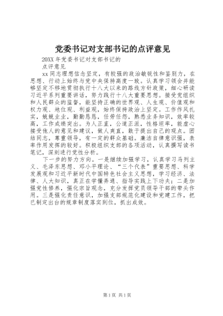 2024年党委书记对支部书记的点评意见