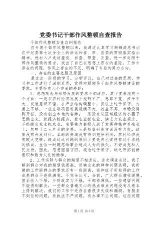 2024年党委书记干部作风整顿自查报告