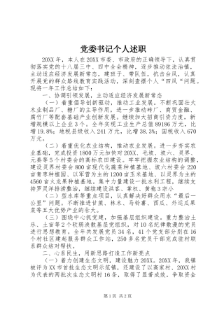 2024年党委书记个人述职