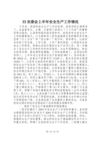 2024年安委会上半年安全生产工作情况