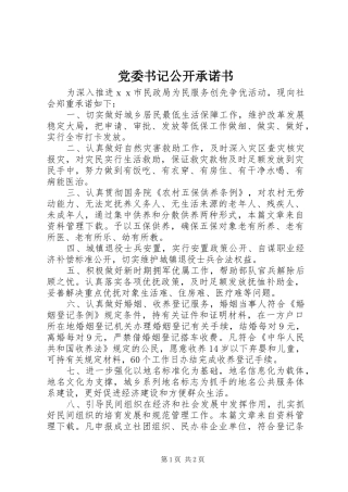 2024年党委书记公开承诺书
