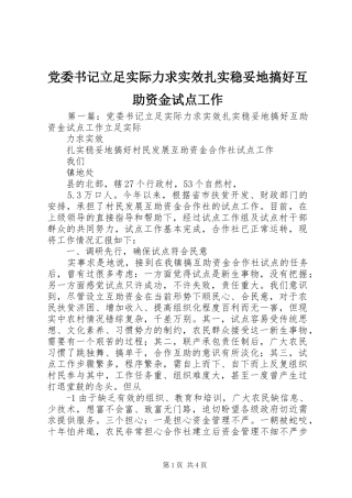2024年党委书记立足实际力求实效扎实稳妥地搞好互助资金试点工作