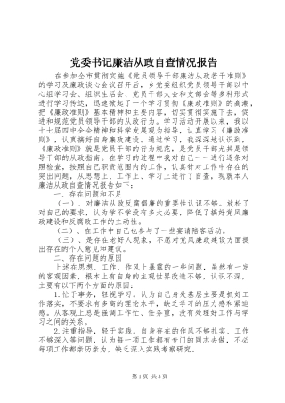 2024年党委书记廉洁从政自查情况报告