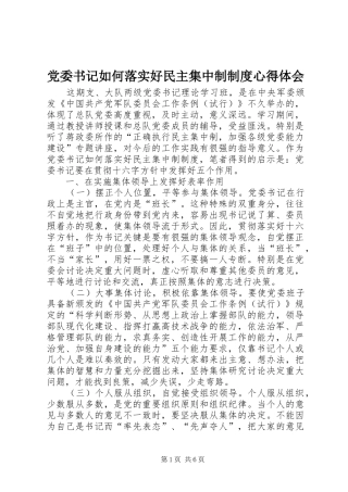 2024年党委书记如何落实好民主集中制制度心得体会