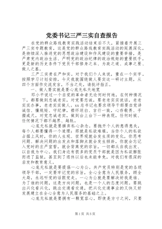 2024年党委书记三严三实自查报告