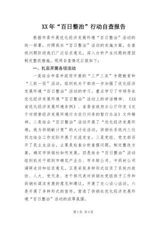 2024年百日整治行动自查报告