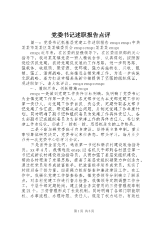 2024年党委书记述职报告点评