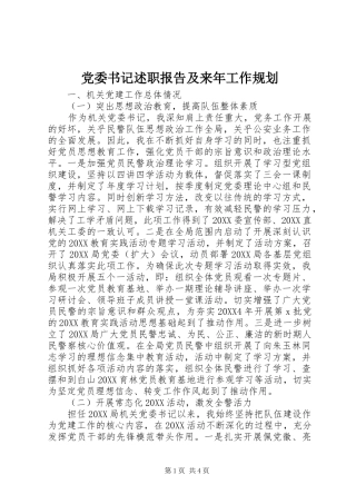 2024年党委书记述职报告及来年工作规划