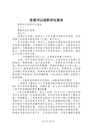 2024年党委书记述职评议报告