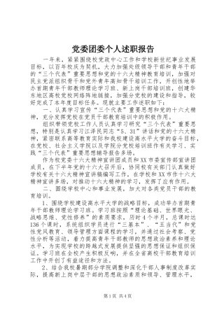 2024年党委团委个人述职报告