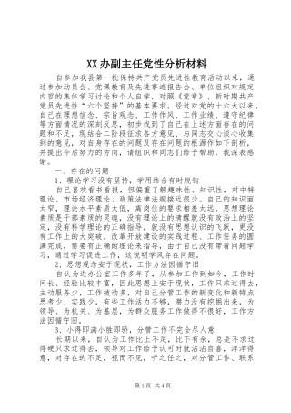 2024年办副主任党性分析材料