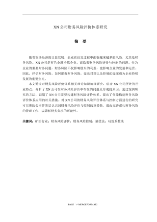 XN公司财务风险评价体系研究  会计财务管理专业