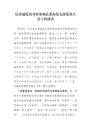 以普通党员身份参加县委办党支部党员大会上的讲话