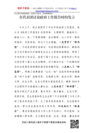 在代表团讨论政府工作报告讨论发言
