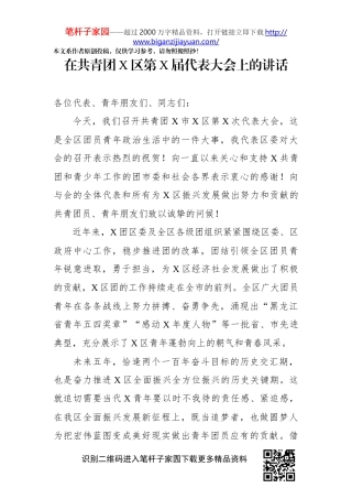 在共青团X区第X届代表大会上的讲话