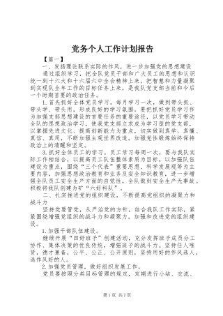 2024年党务个人工作计划报告