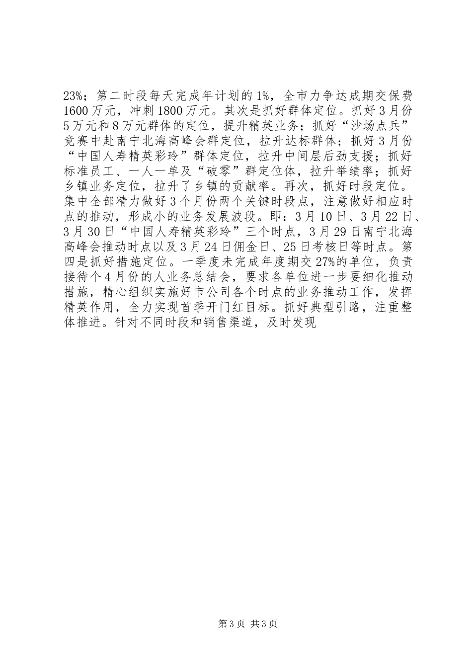 2024年保险分公司终总结_第3页