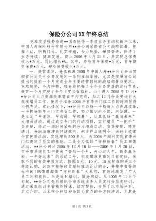 2024年保险分公司终总结