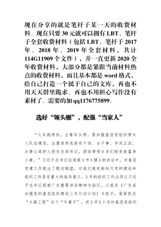 选好领头雁配强当家人