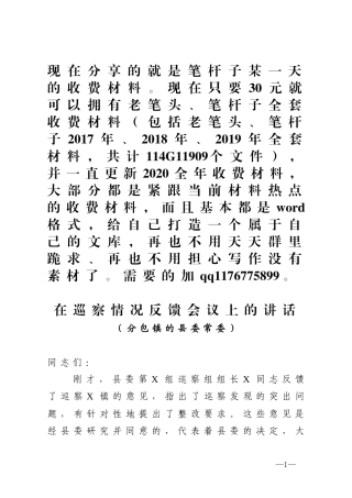 巡察情况反馈会领导讲话范文(0001)