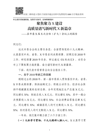 市（县）委全会报告