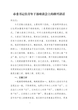 市委书记在青年干部座谈会上的即兴讲话(0001)