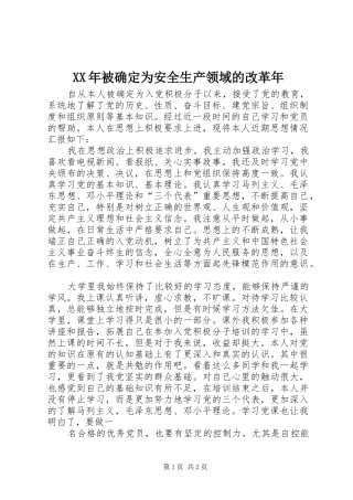 2024年被确定为安全生产领域的改革年