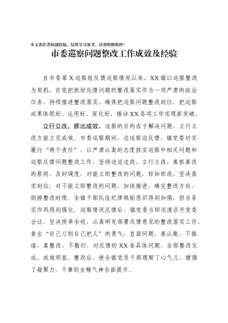 市委巡察问题整改工作成效及经验总结