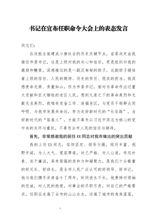 书记在宣布任职命令大会上的表态发言