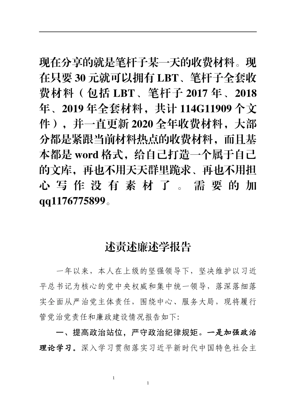 述责述廉述学报告_第1页