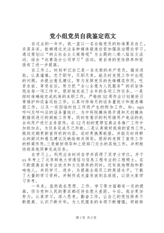 2024年党小组党员自我鉴定范文