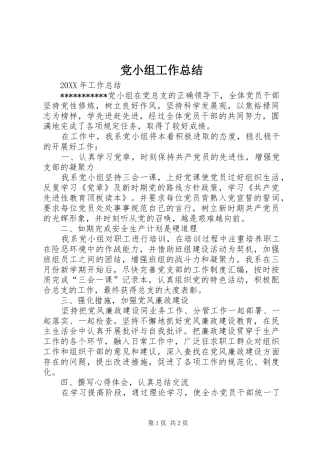 2024年党小组工作总结