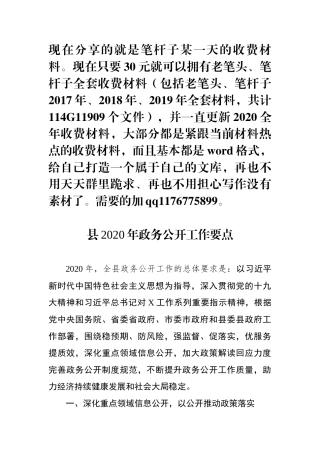 县2020年政务公开工作要点