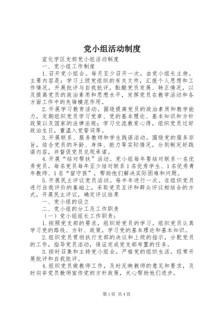 2024年党小组活动制度