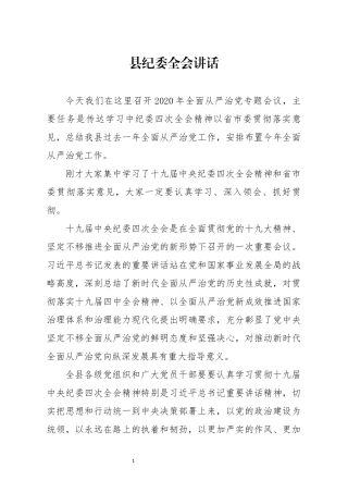 县纪委全会讲话