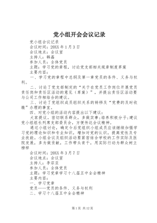 2024年党小组开会会议记录