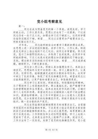 2024年党小组考察意见