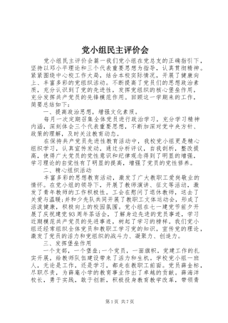 2024年党小组民主评价会