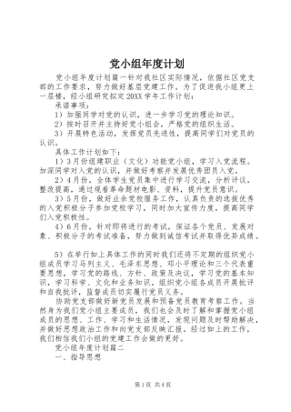 2024年党小组年度计划
