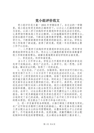2024年党小组评价范文